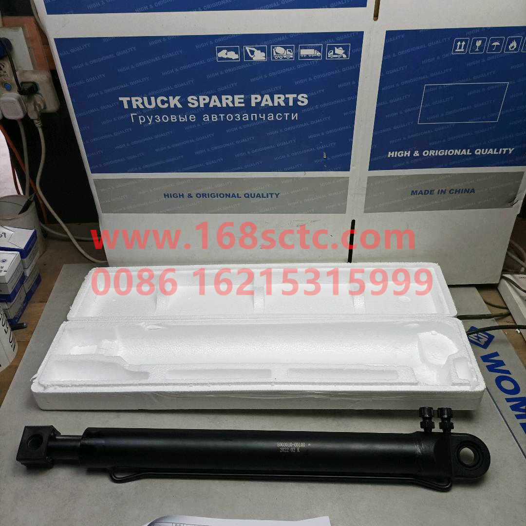 5003010-C0100