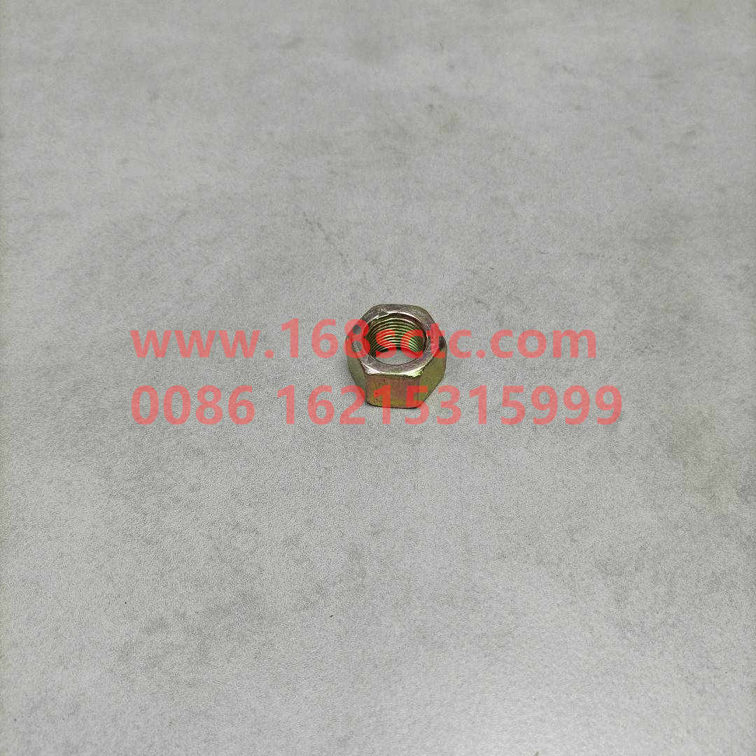 Self-locking nut VM18*1.5D009808ZN