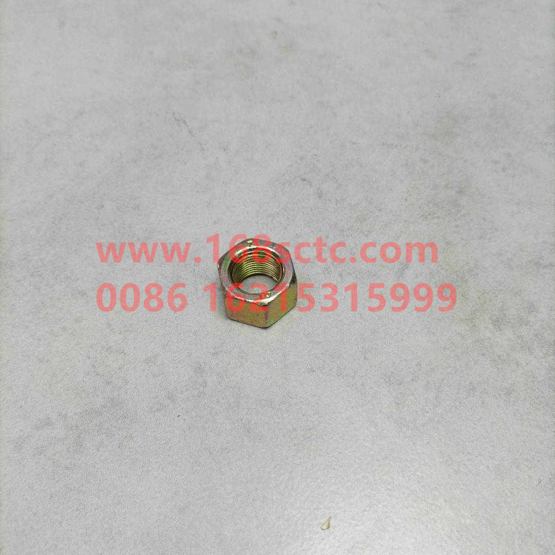 Self-locking nut VM18*1.5D009808ZN