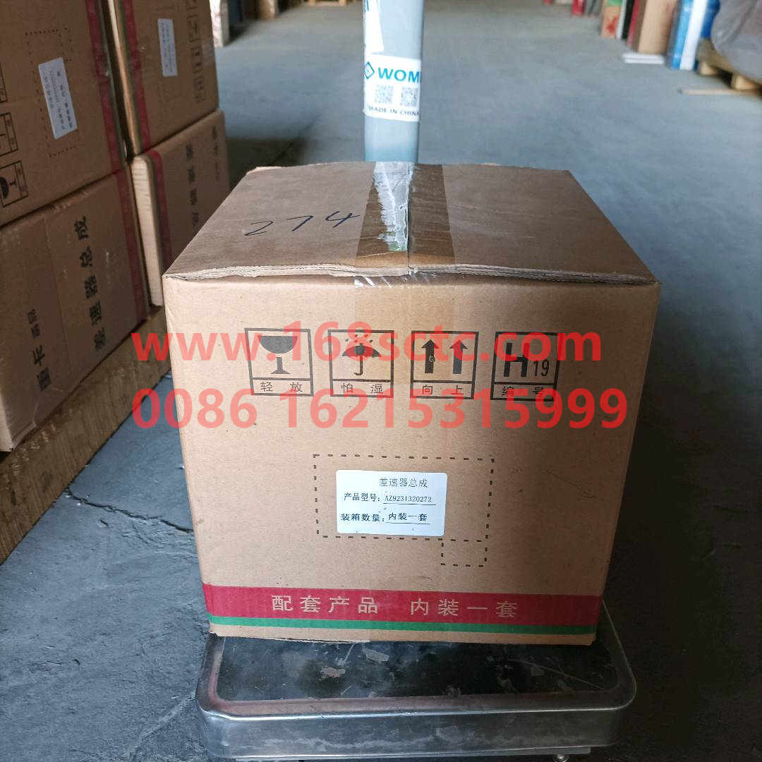 AZ9231320272-SINOTRUK HOWO-Differential case assembly-ZhongQiZhongQiaoHC16