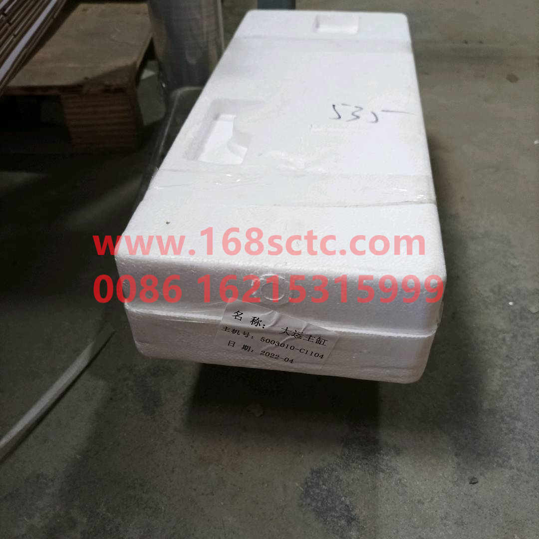 5003010-C1104