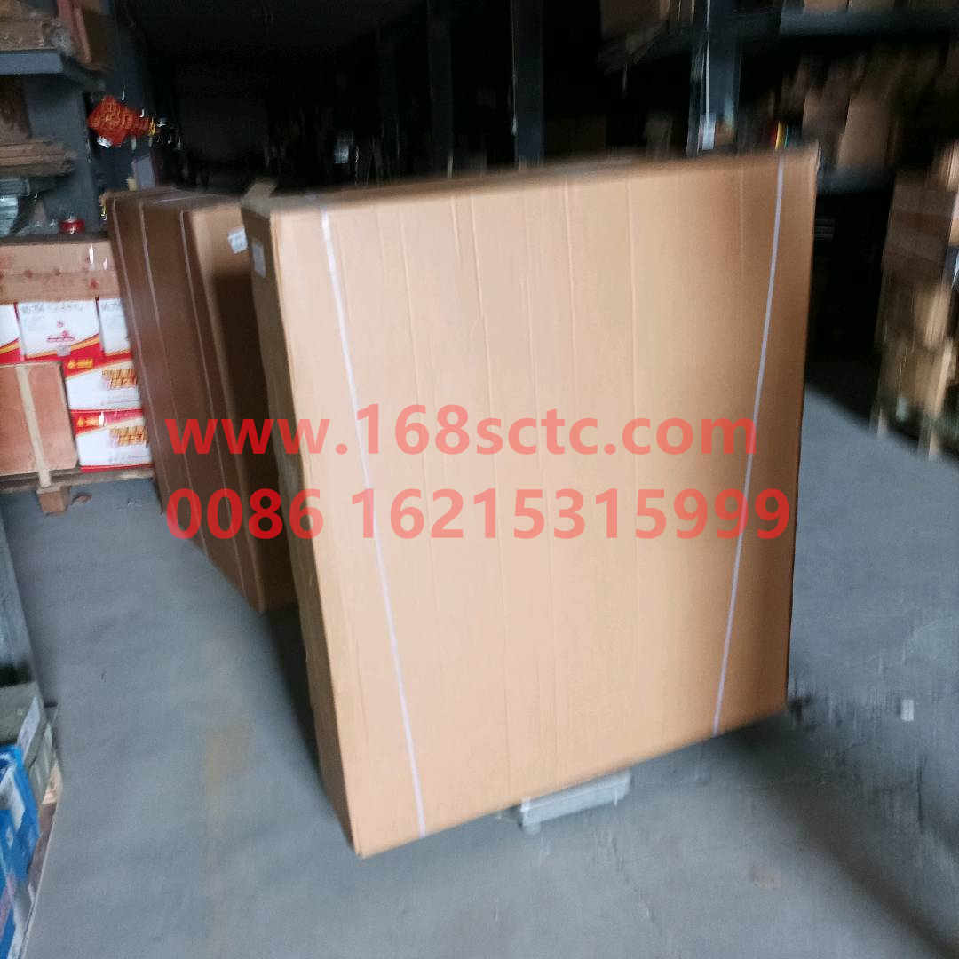 81061016519