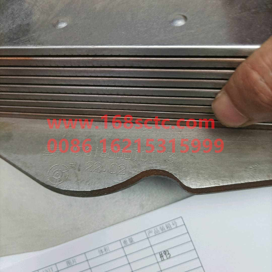 61800010113