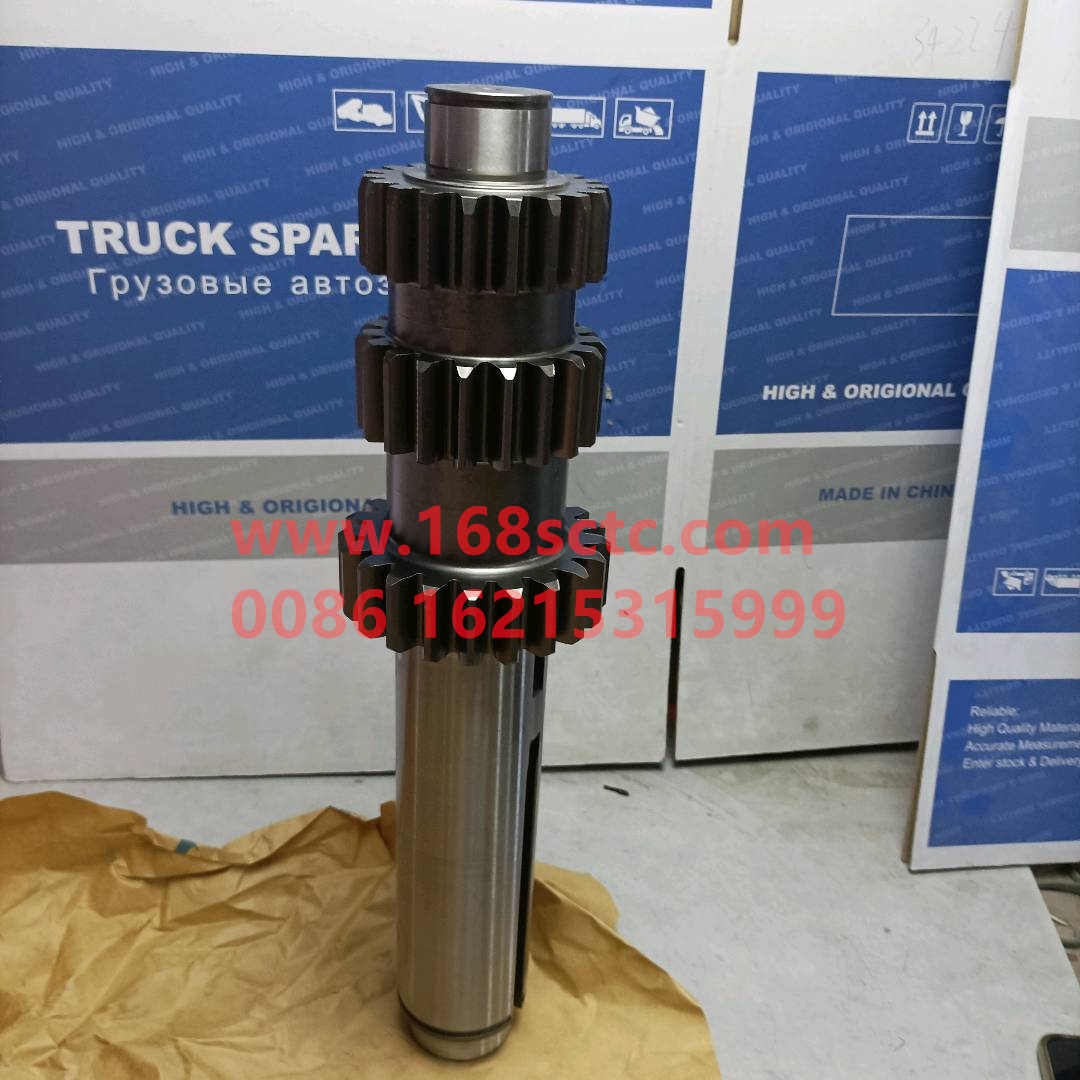 12JSDX220T-1701049B