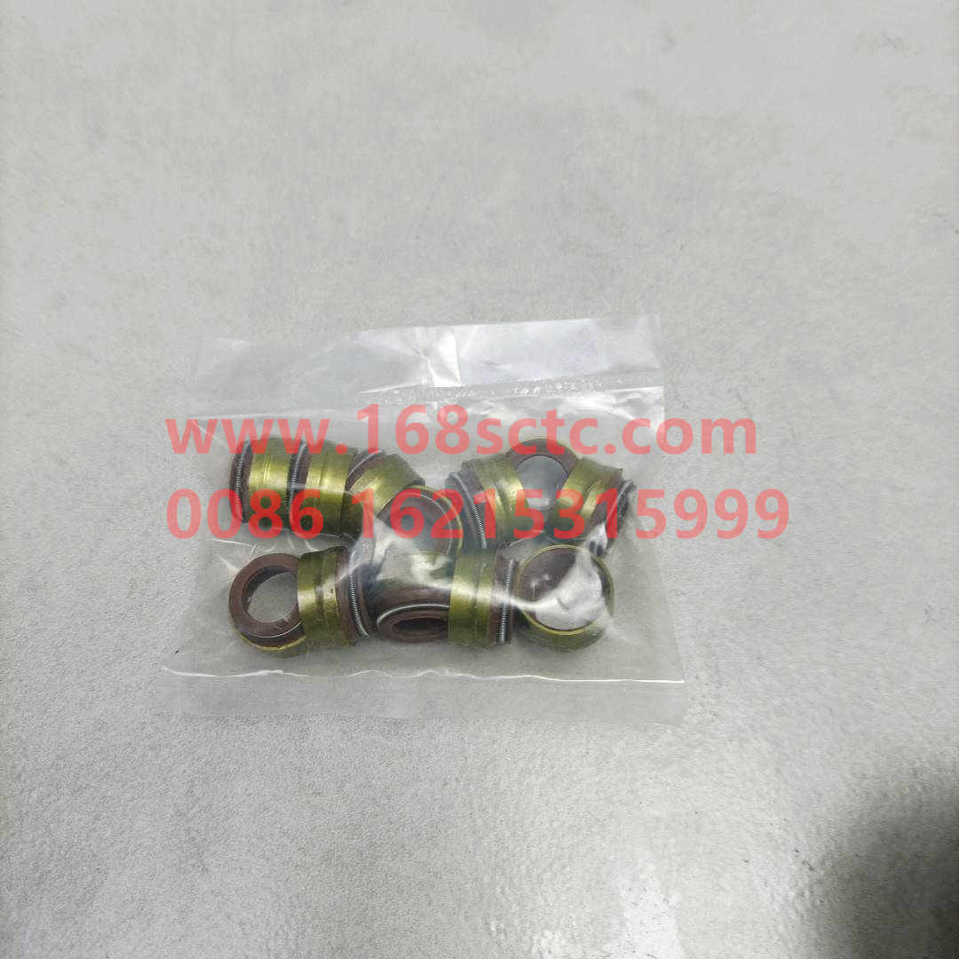 VG1560040032-SINOTRUK HOWO-Oil seal (valve oil sealSinotrukWD615)-ZhongQiFaDongJiWD615.97NE
