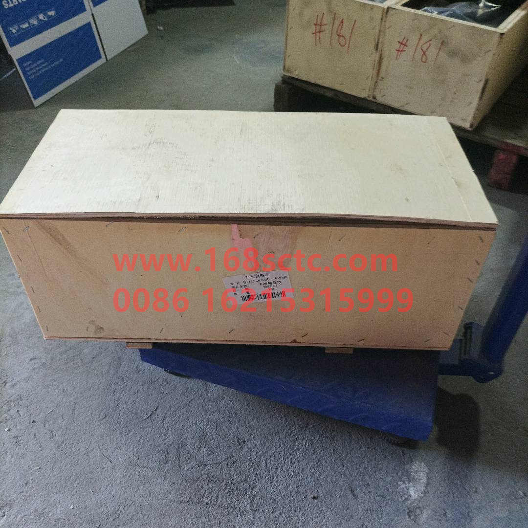 12JSDX220T-1701049B