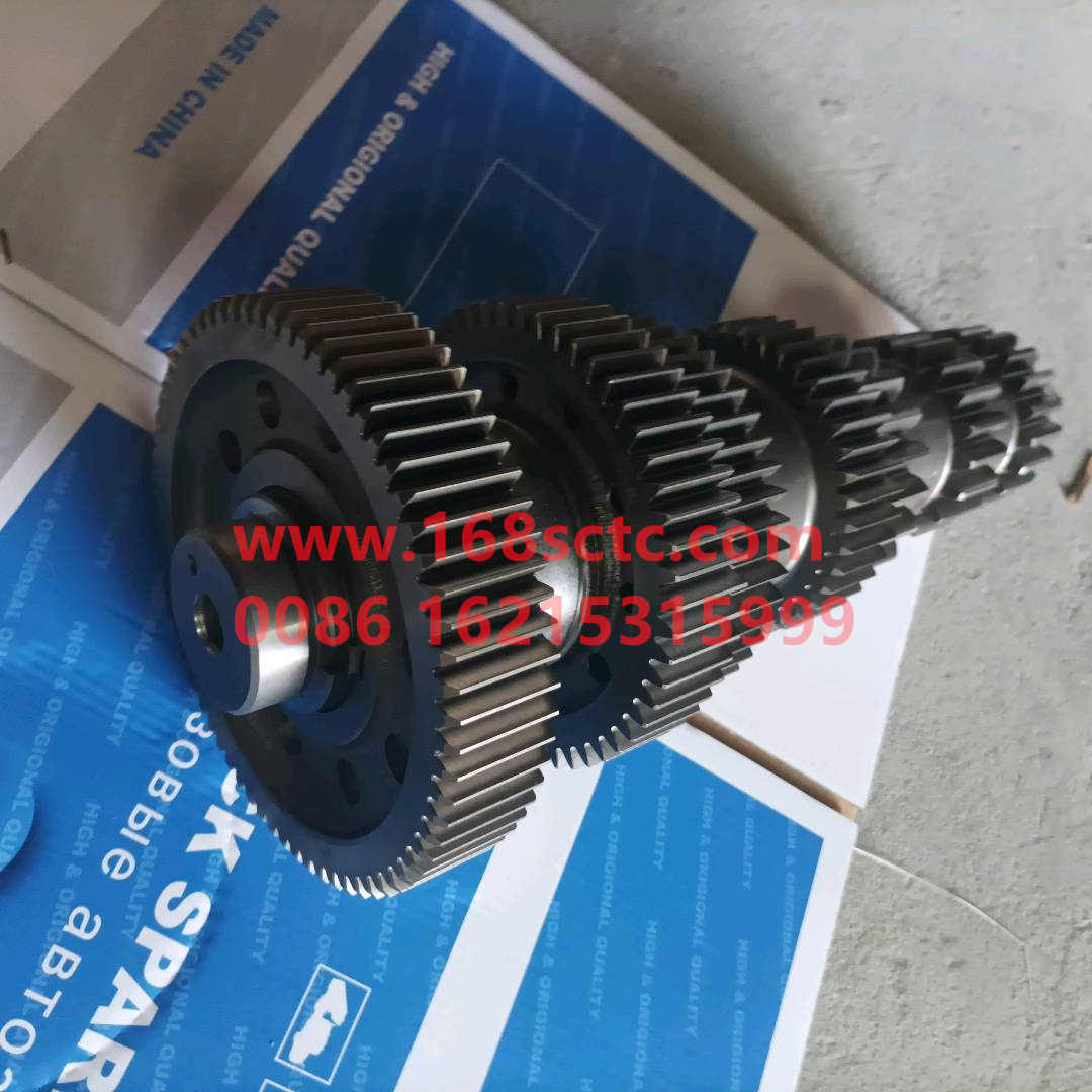 12JSDX220T-1701048B