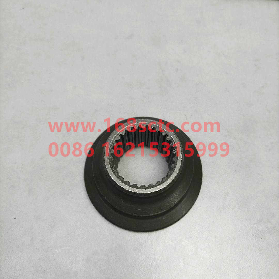 WG3809320156