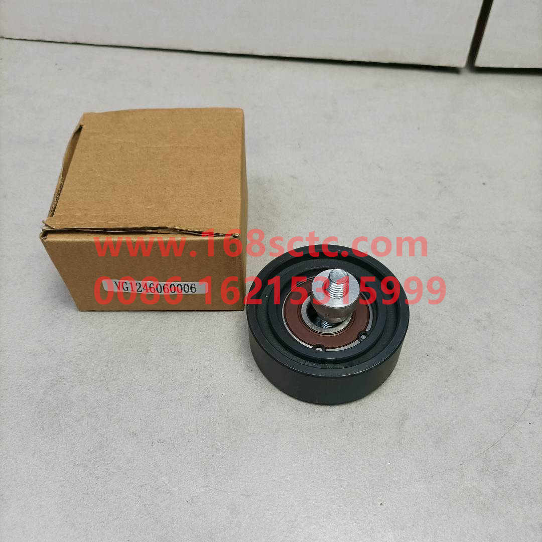 VG1246060006-SINOTRUK HOWO-flat idler-ZhongQiFaDongJiT12.42-50