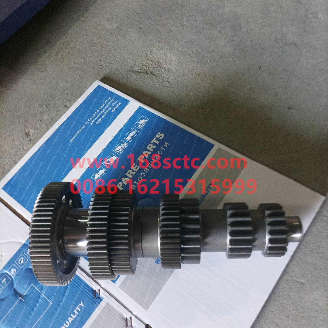 12JSDX220T-1701049B