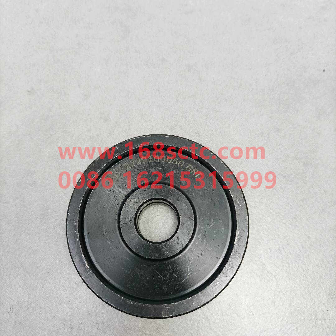 WG2229100050-SINOTRUK HOWO-Range Piston-ZhongQiBianSuXiangHW19710T