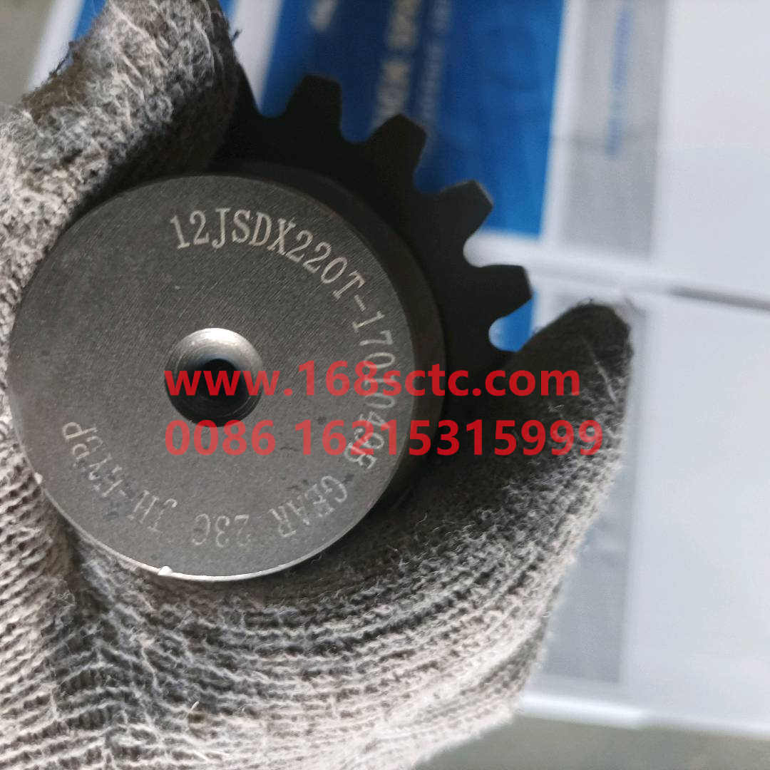 12JSDX220T-1701049B