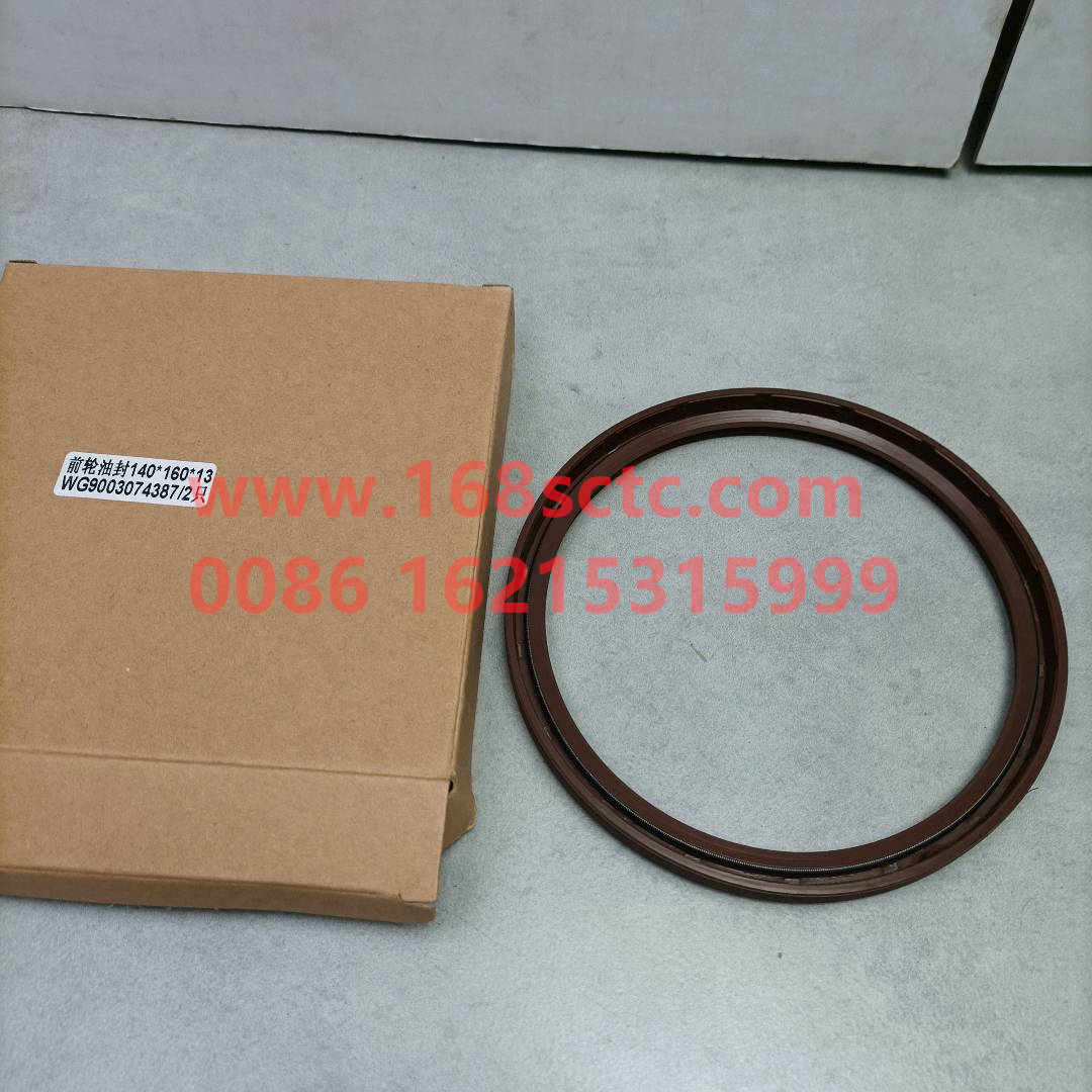 WG9003074387-SINOTRUK HOWO-Oil seal (front wheel oil seal 140x160x12/13/14)-HaoWo2013Kuan