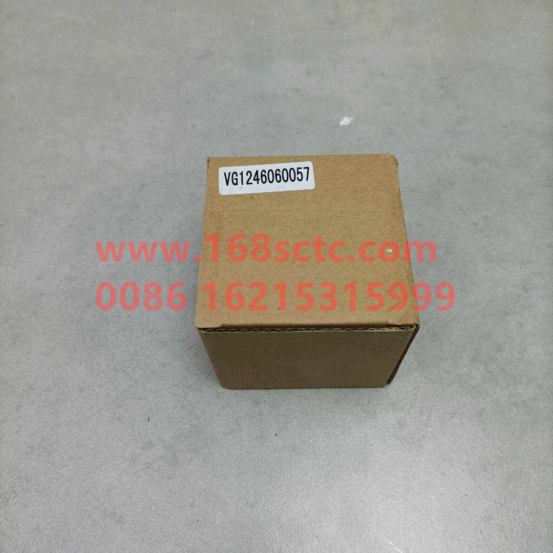VG1246060057-SINOTRUK HOWO-flat idler-ZhongQiFaDongJiT12.42-50