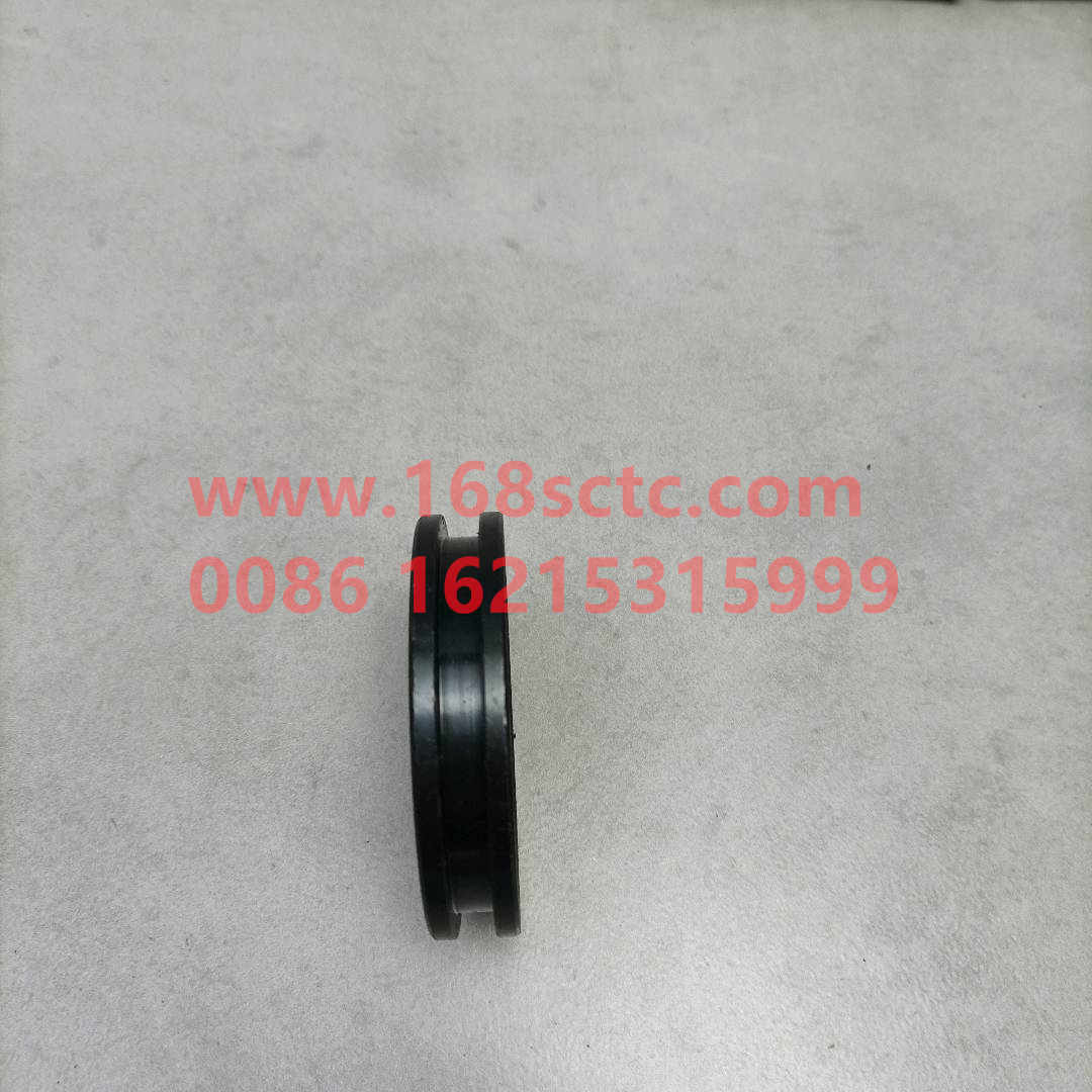 WG2229100050-SINOTRUK HOWO-Range Piston-ZhongQiBianSuXiangHW19710T
