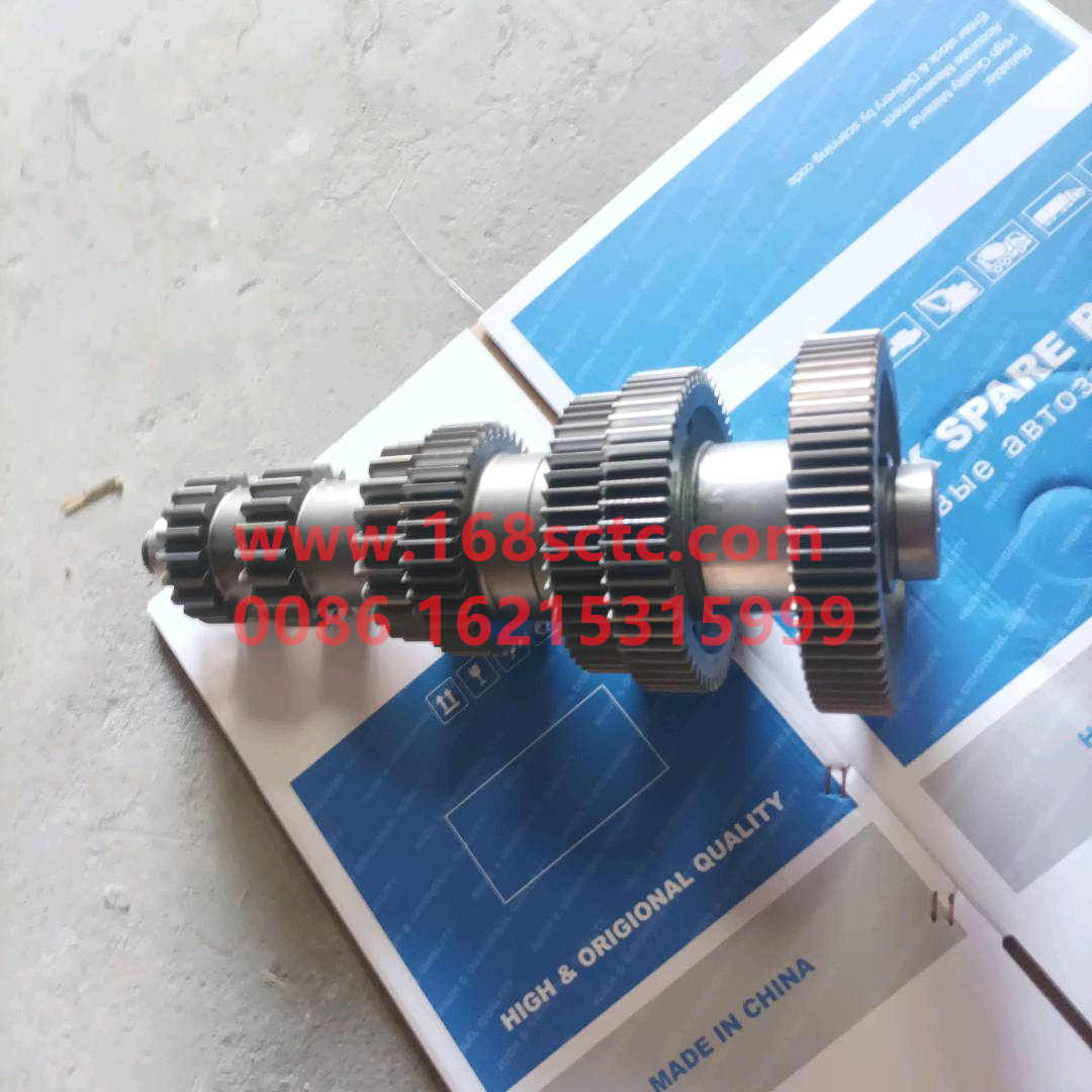 12JSDX220T-1701048B
