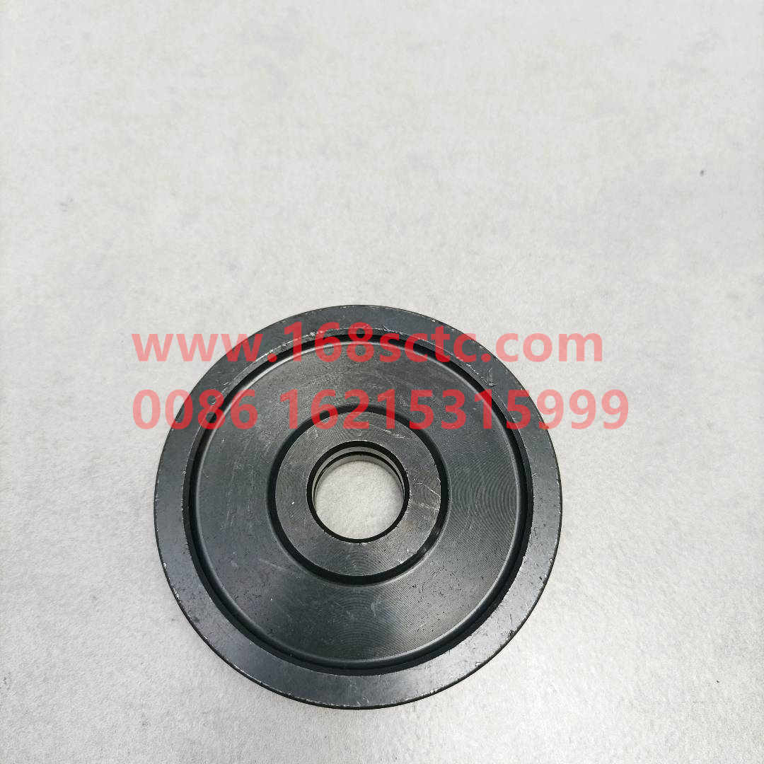 WG2229100050-SINOTRUK HOWO-Range Piston-ZhongQiBianSuXiangHW19710T
