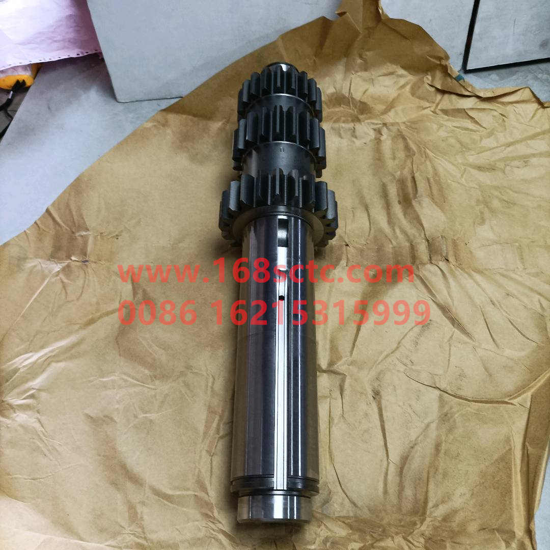 12JSDX220T-1701049B