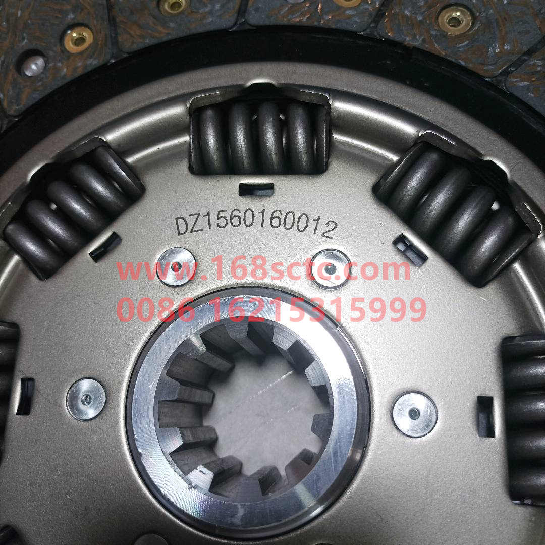 DZ1560160012