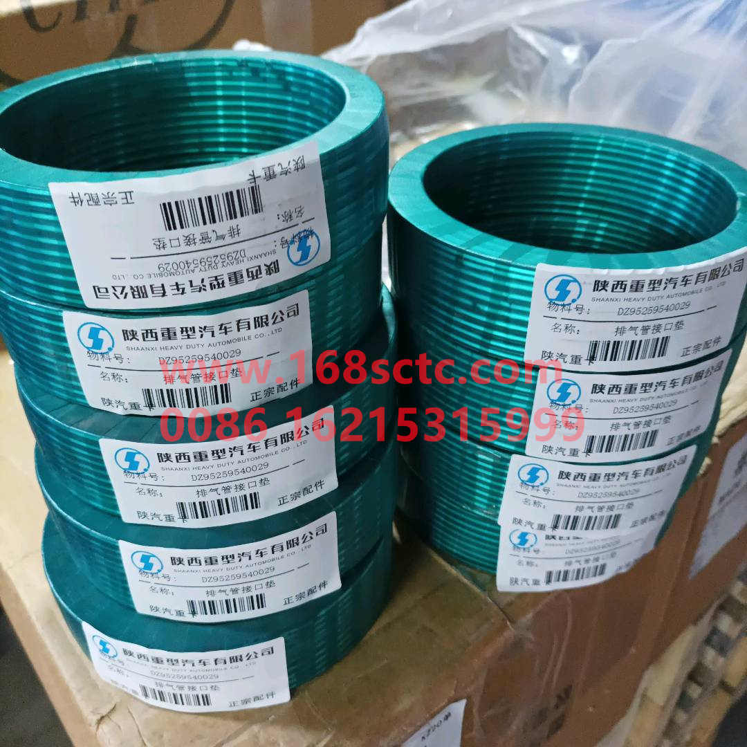 DZ95259540029