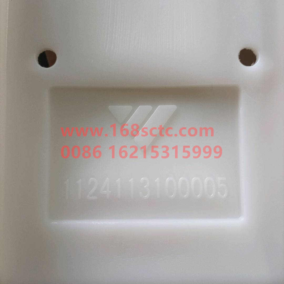 1124113100005