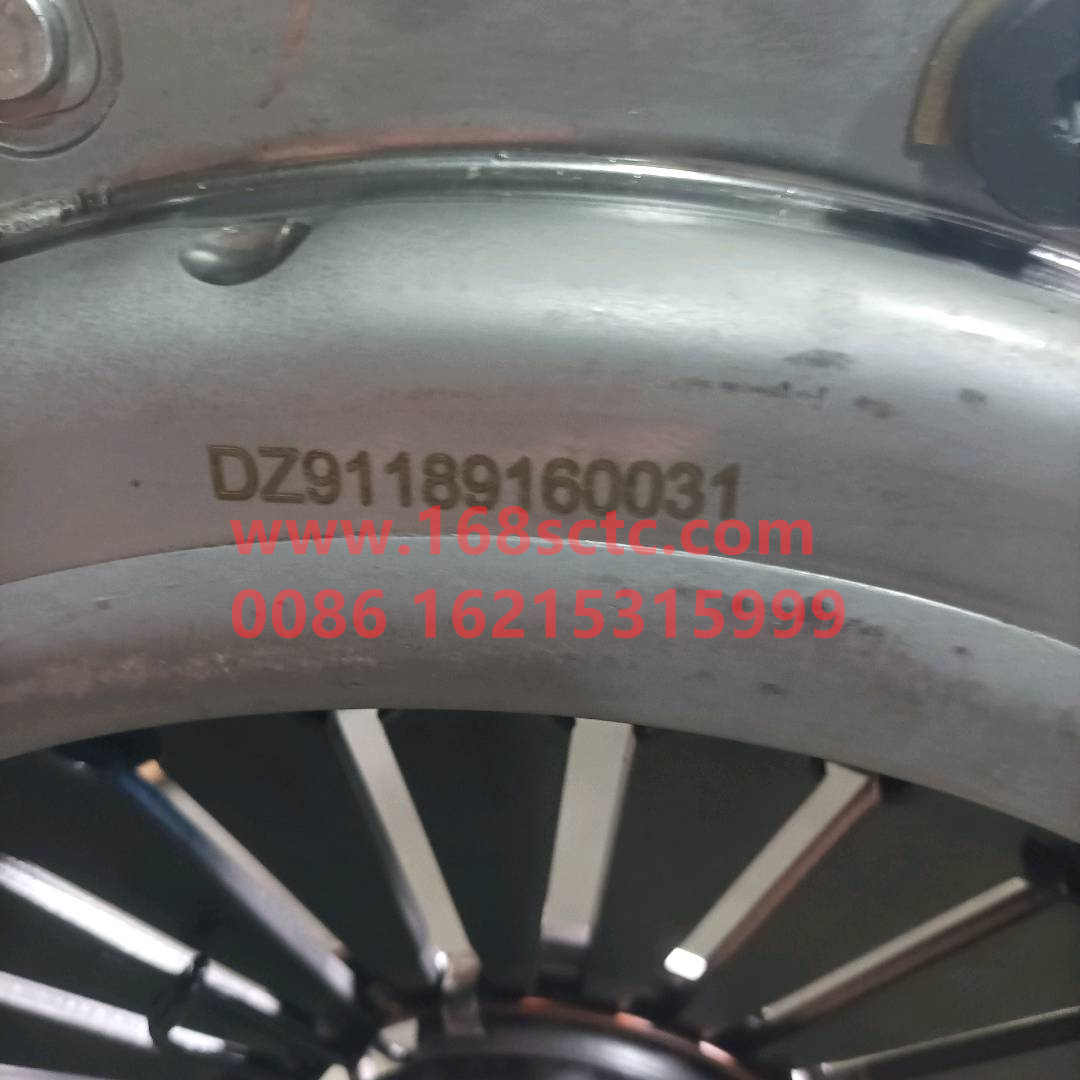 DZ91189160031
