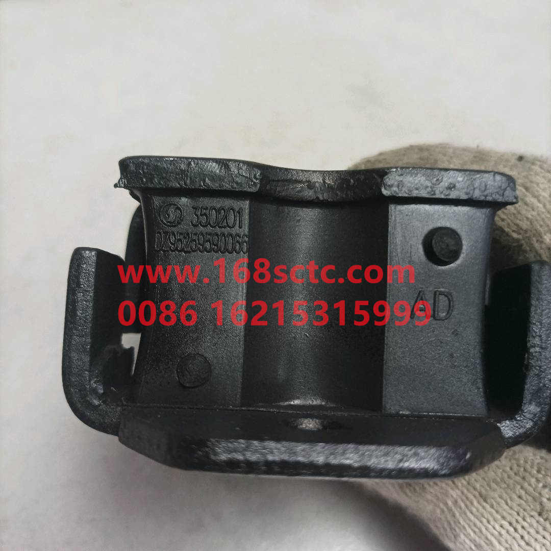 DZ95259590066
