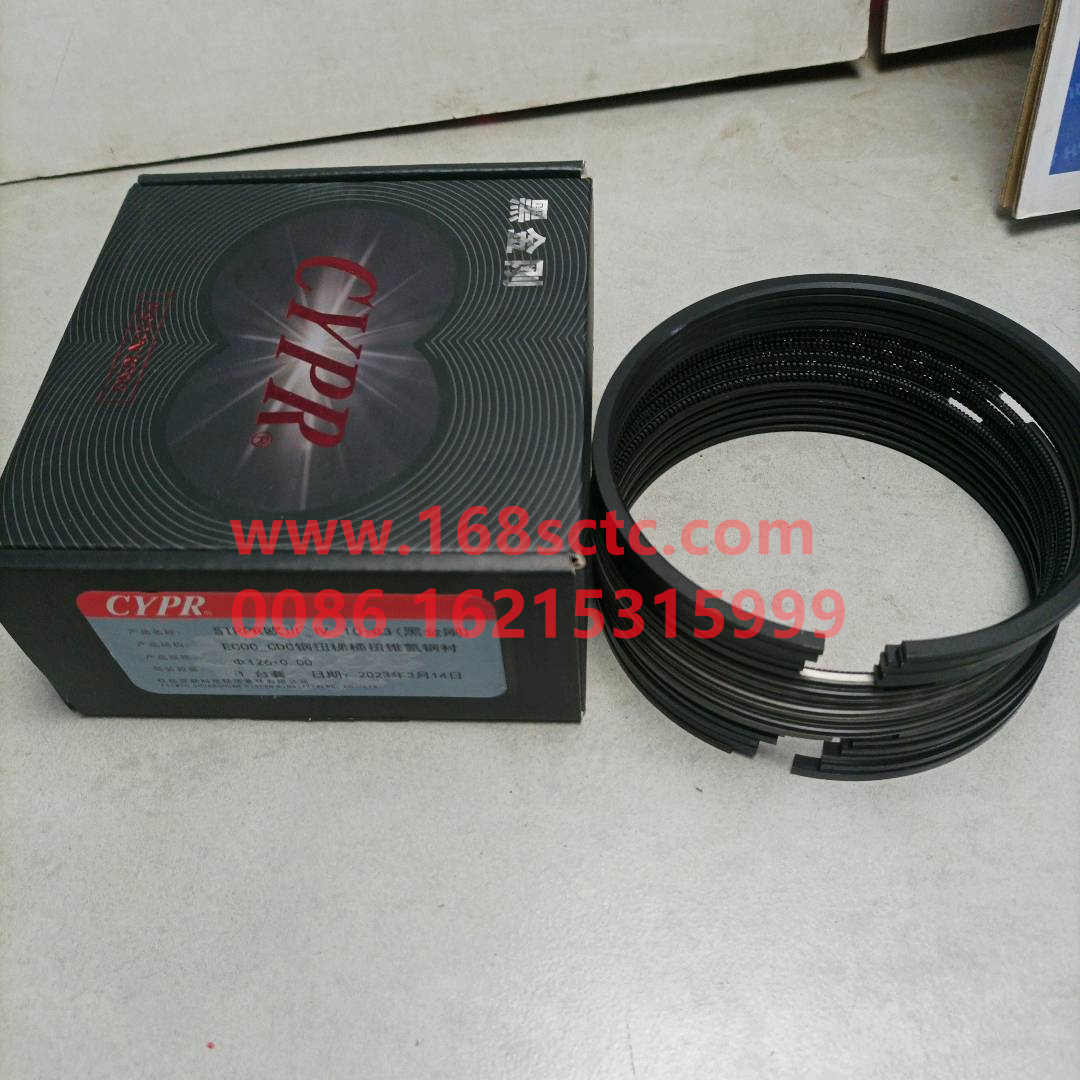 612600030053A-WEICHAI-Piston ring assembly repair parts-WeiChaiFaDongJiWP10.336