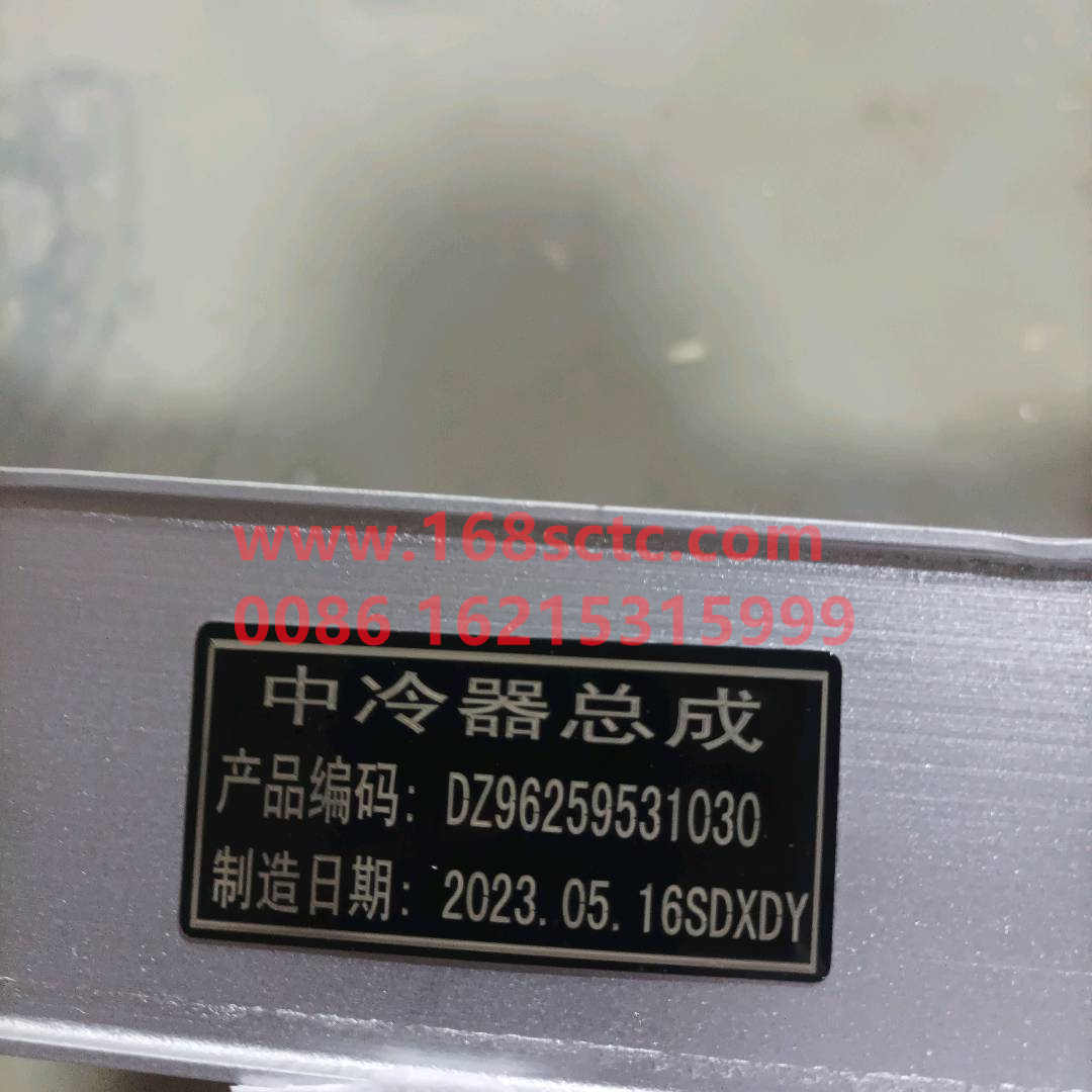 DZ96259531030