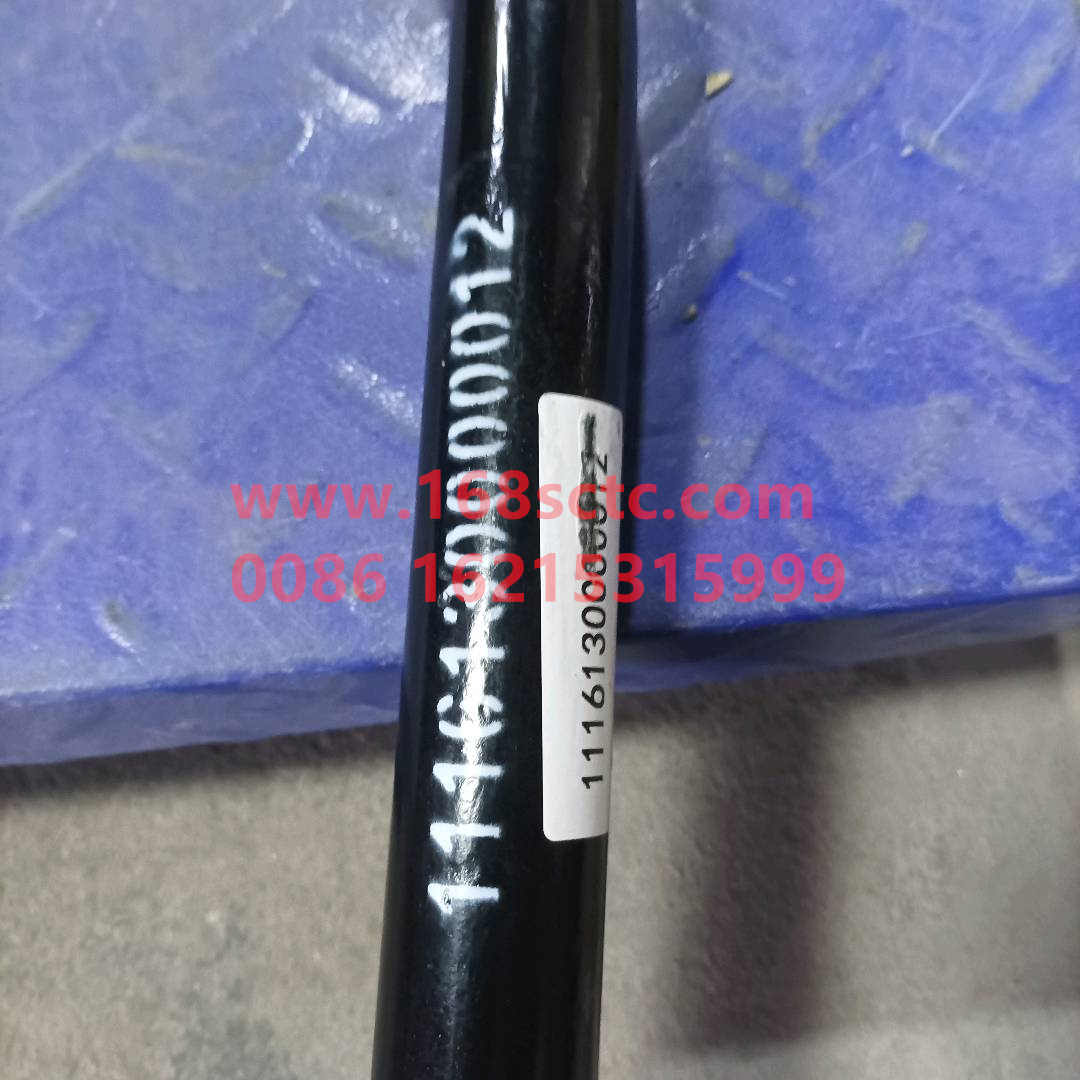 F1116130000012A0004
