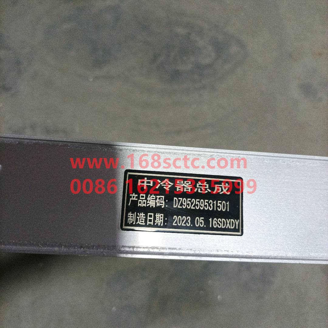 DZ95259531501