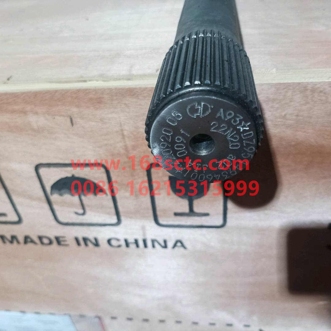 DZ95149346001