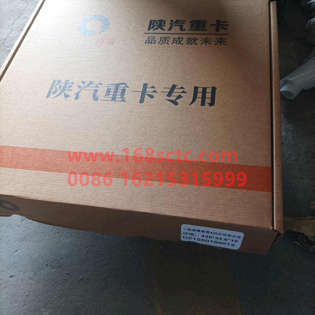 DZ1560160012