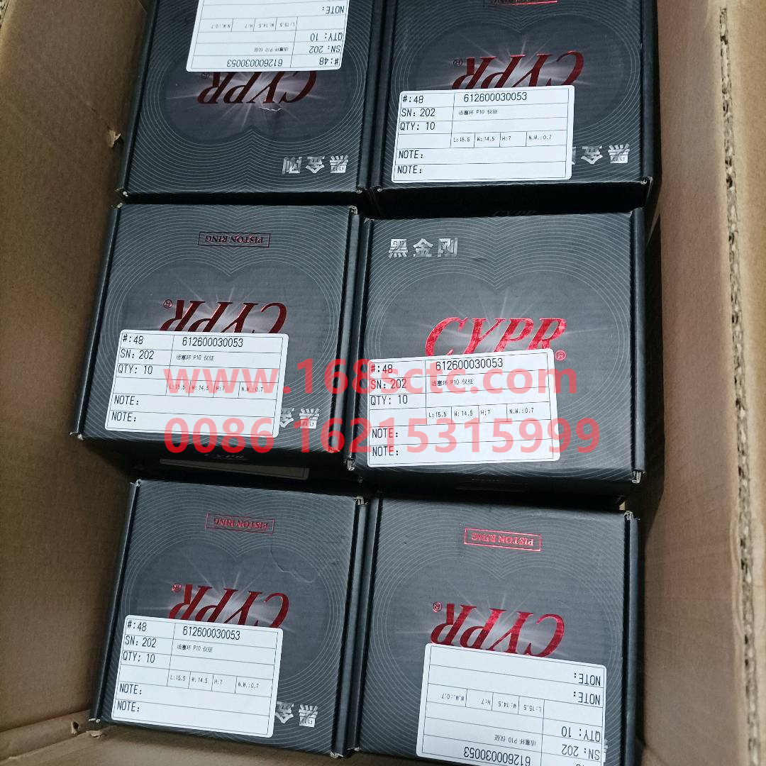 612600030053A-WEICHAI-Piston ring assembly repair parts-WeiChaiFaDongJiWP10.336
