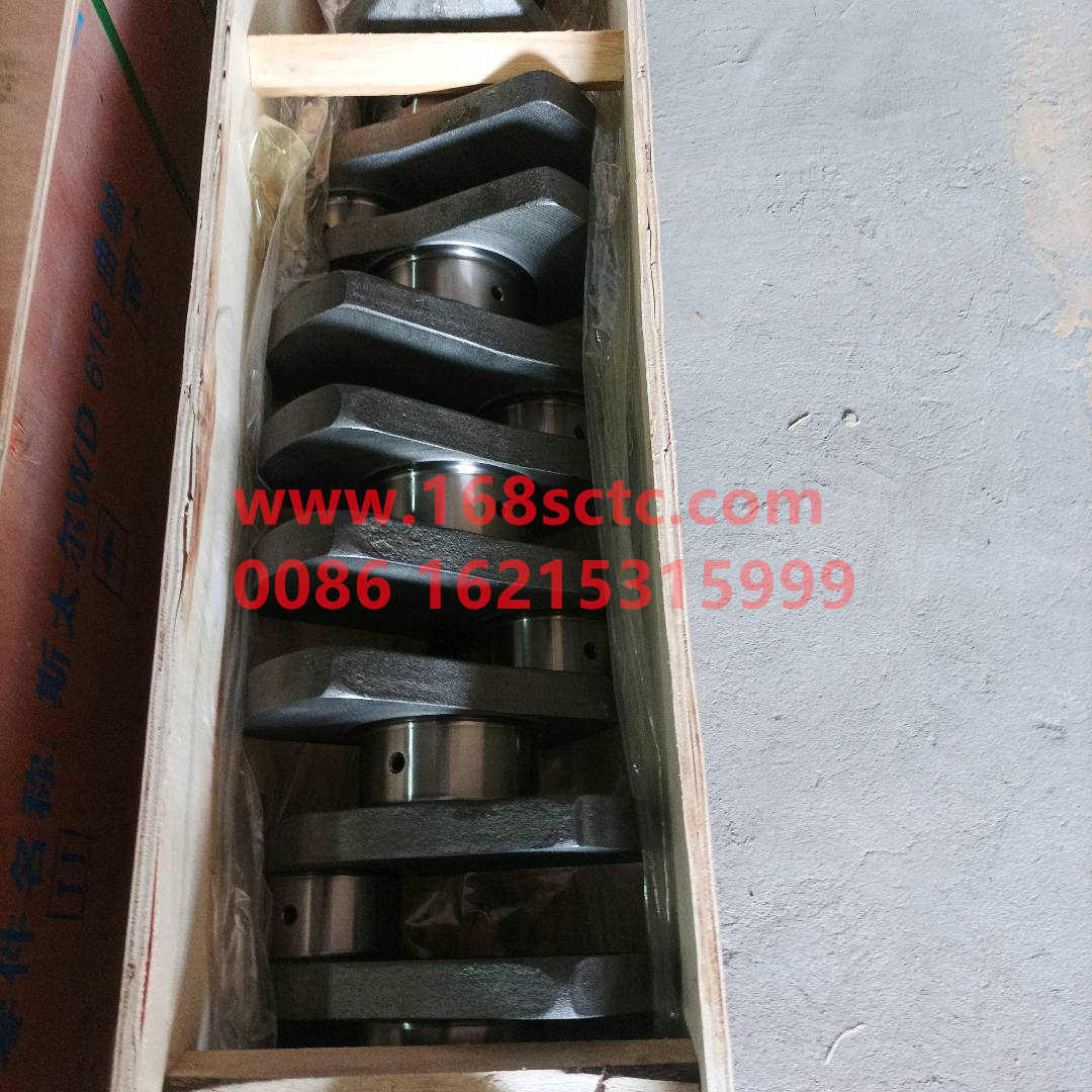61800020022