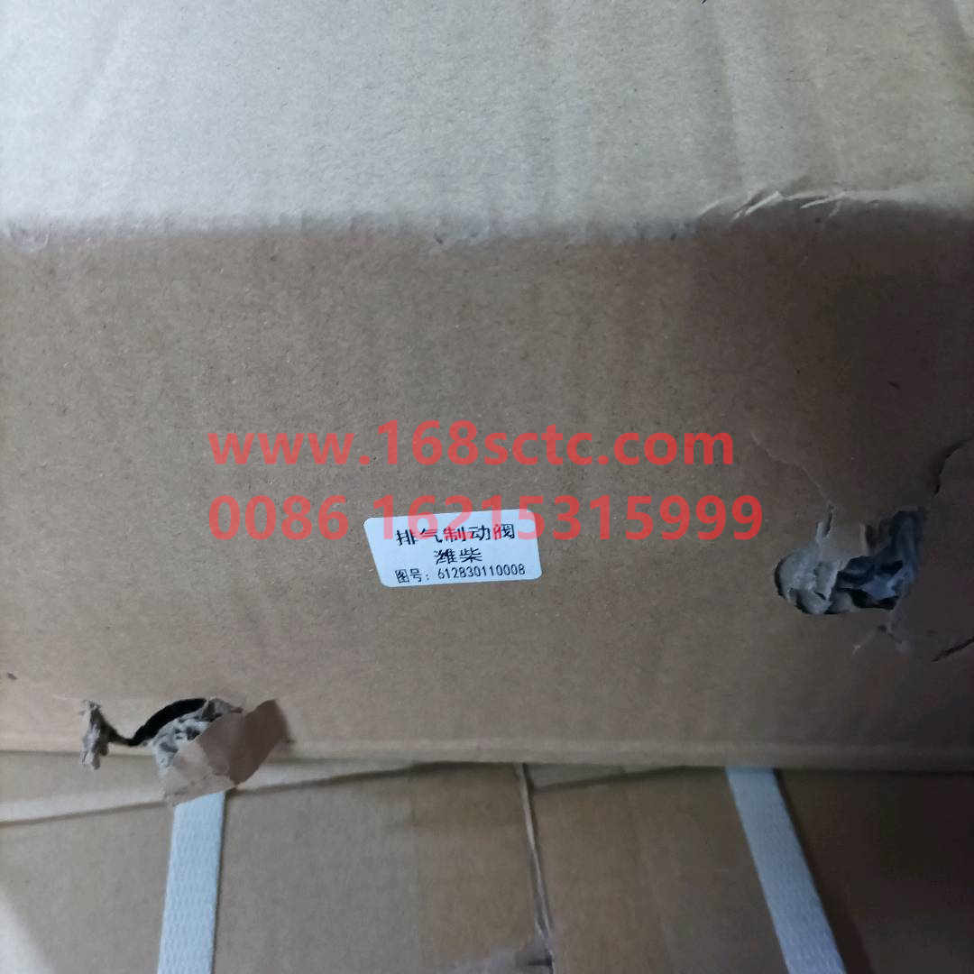 612630110008