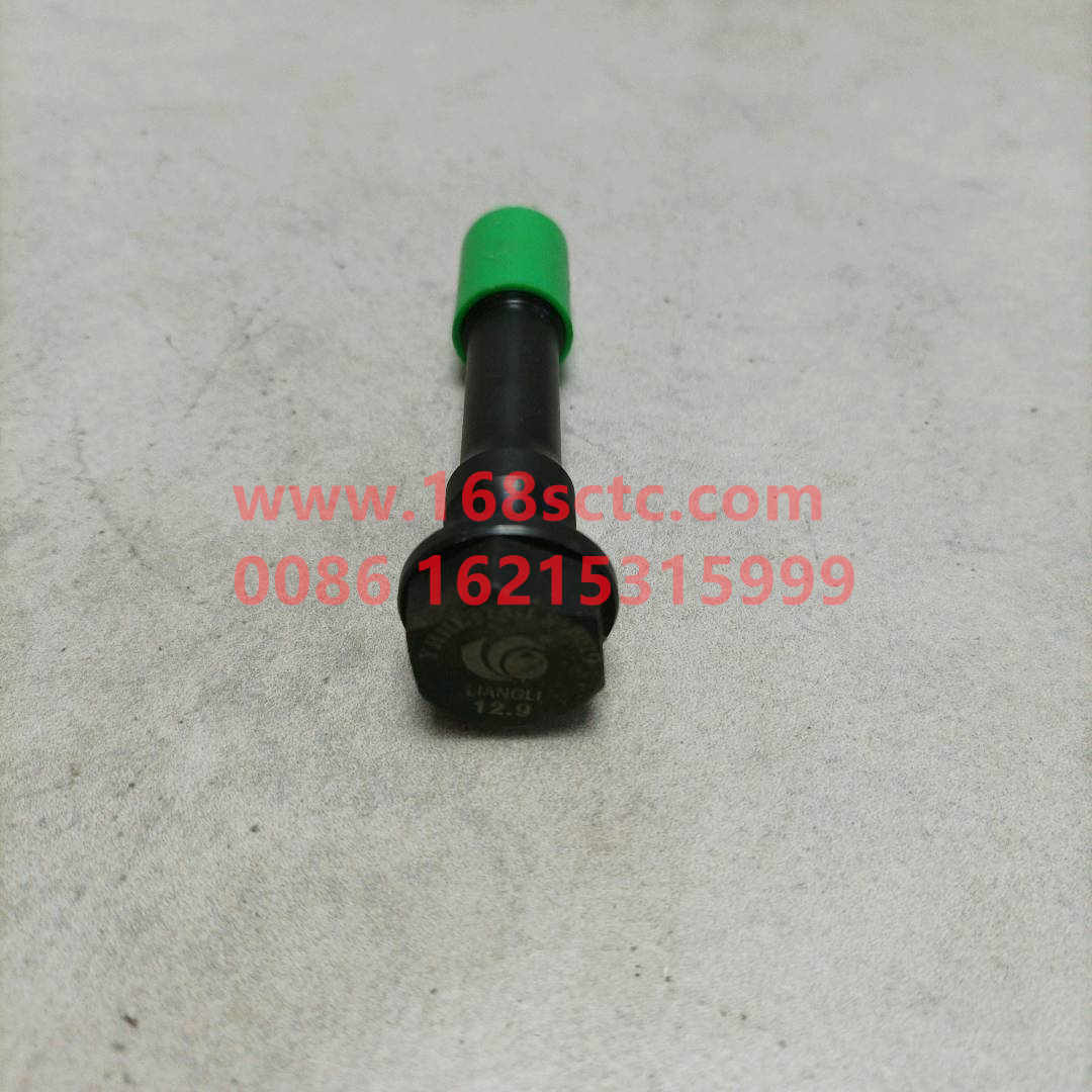 61800030019