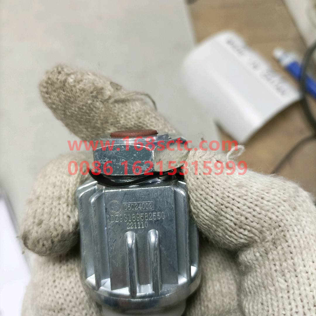 D293189582550