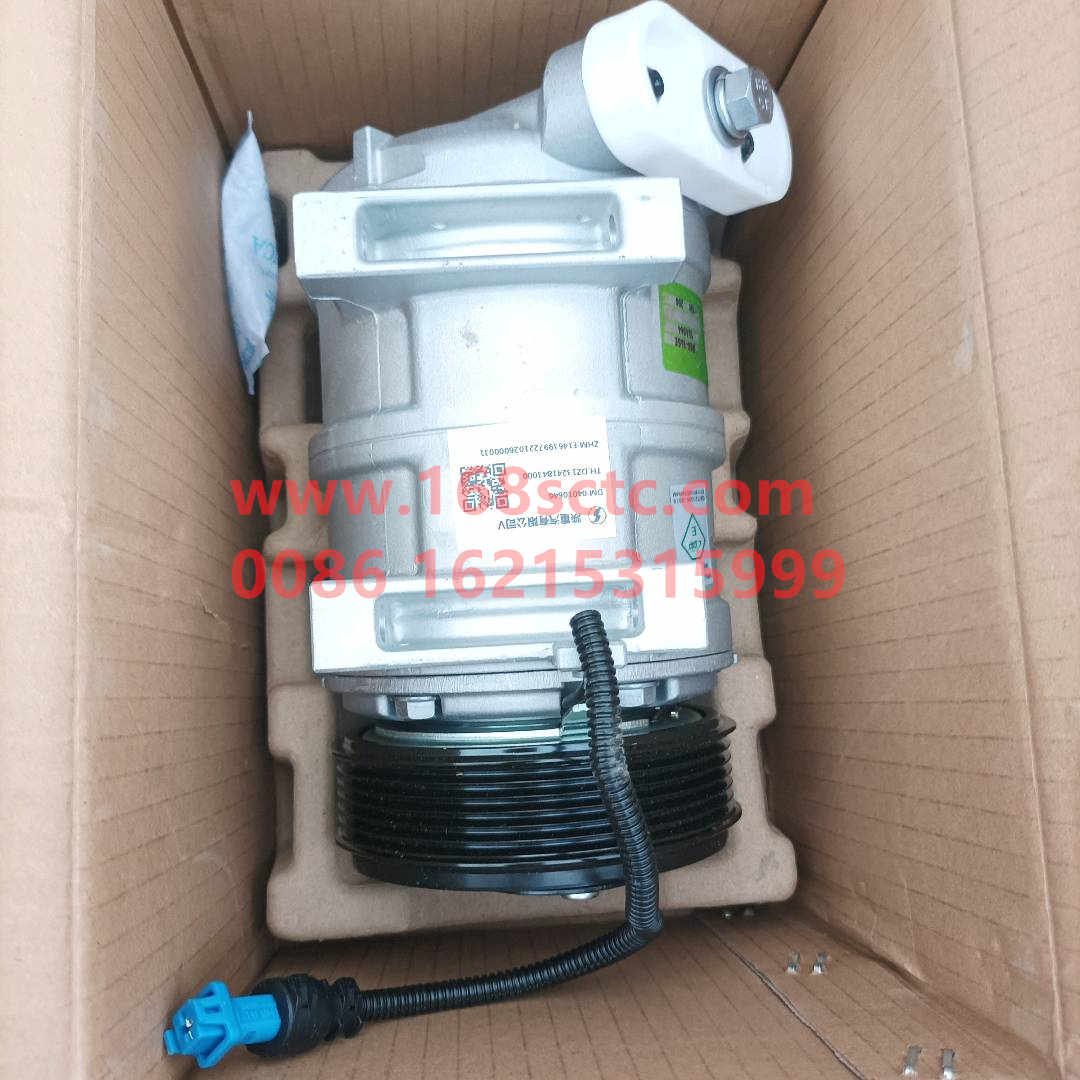 DZ13241843000