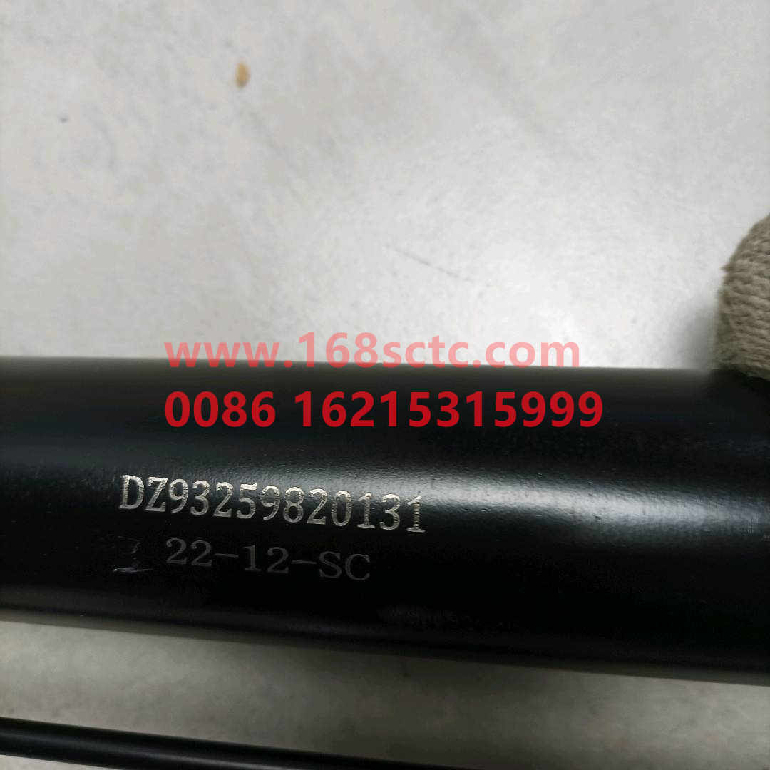 DZ93259820131