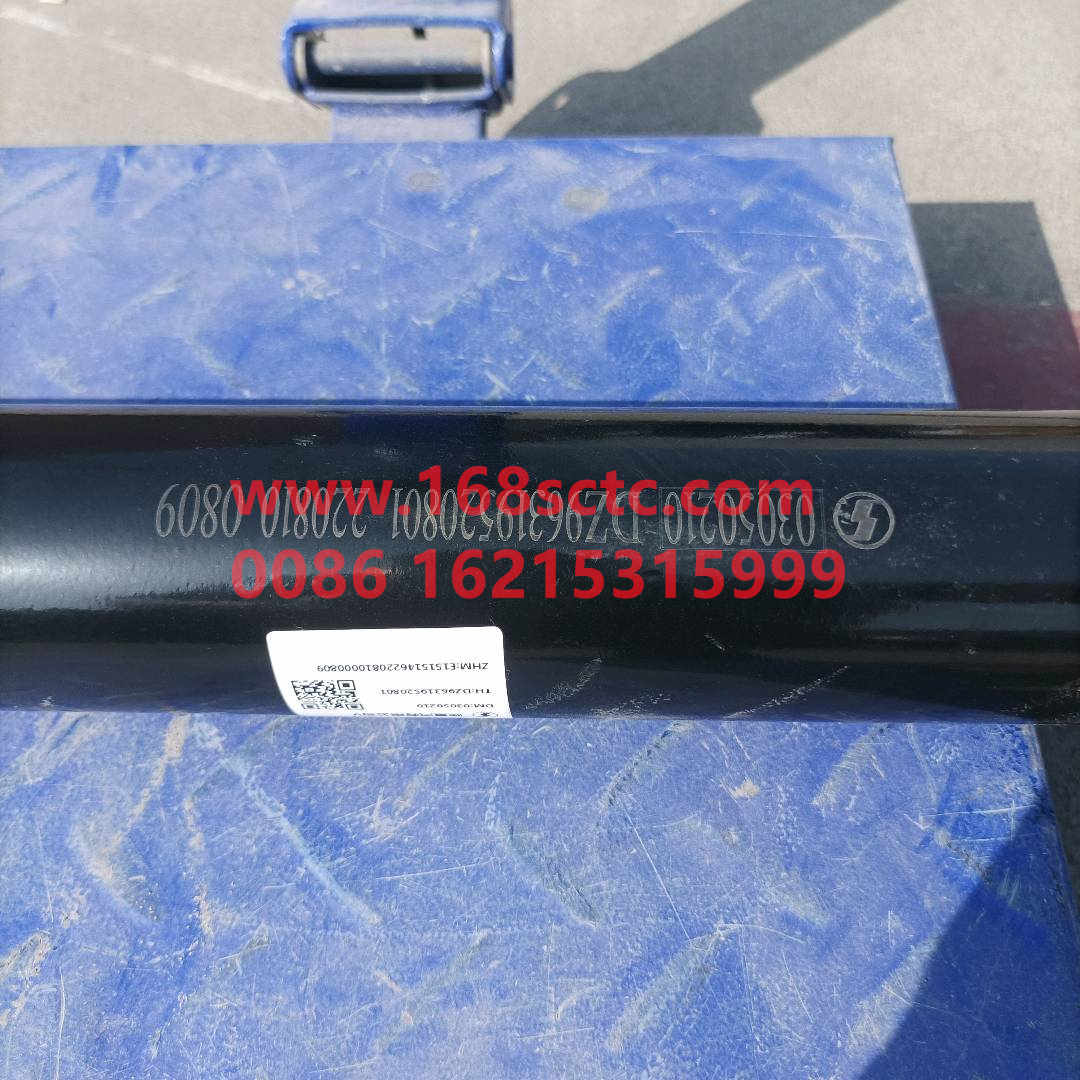 DZ96319520801
