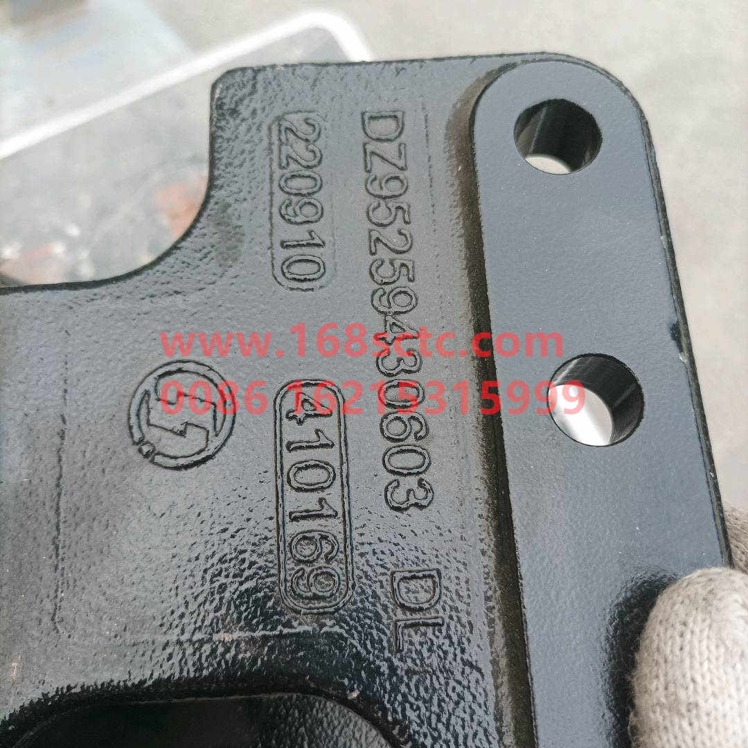 DZ95259430603