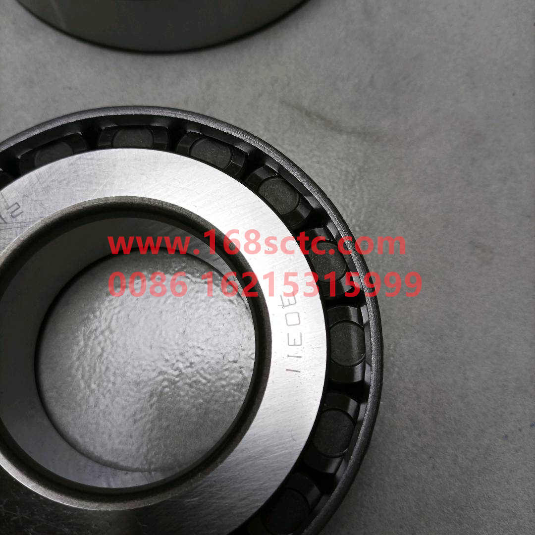 0064005415515(30311)