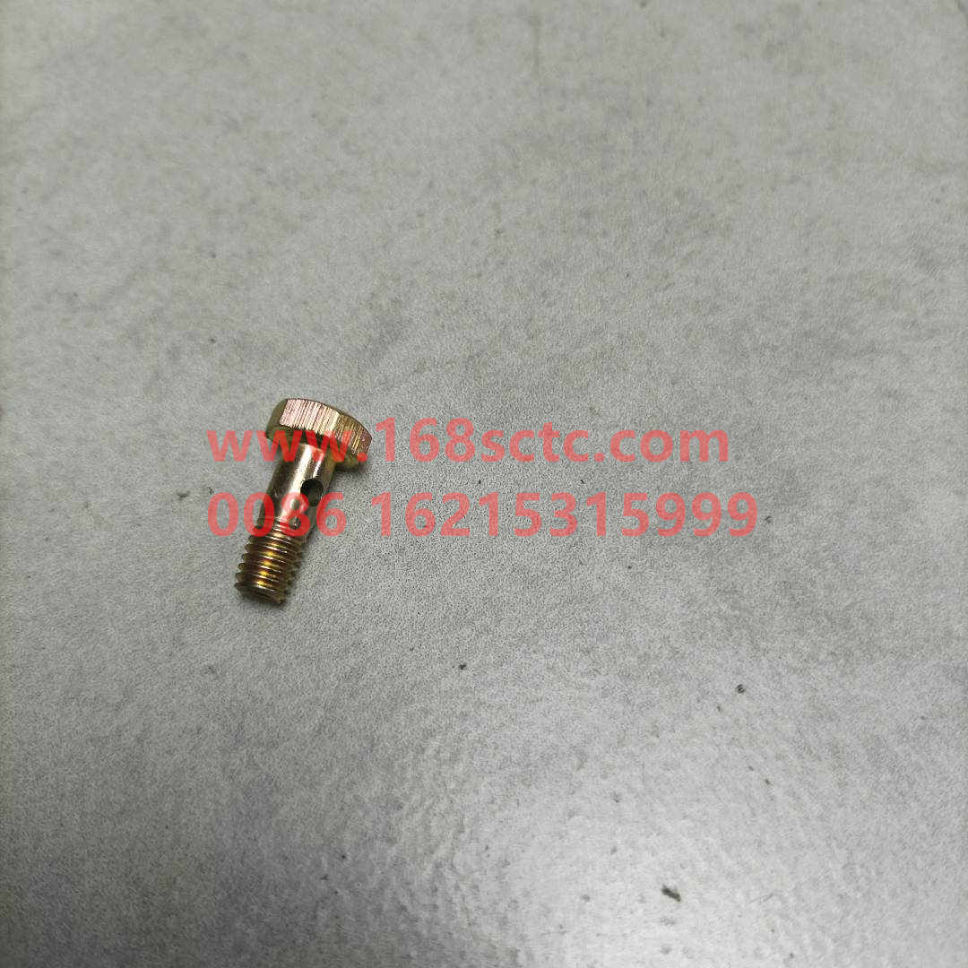VG1500080090-SINOTRUK HOWO-hollow bolt-ZhongQiFaDongJiWD615.97NE