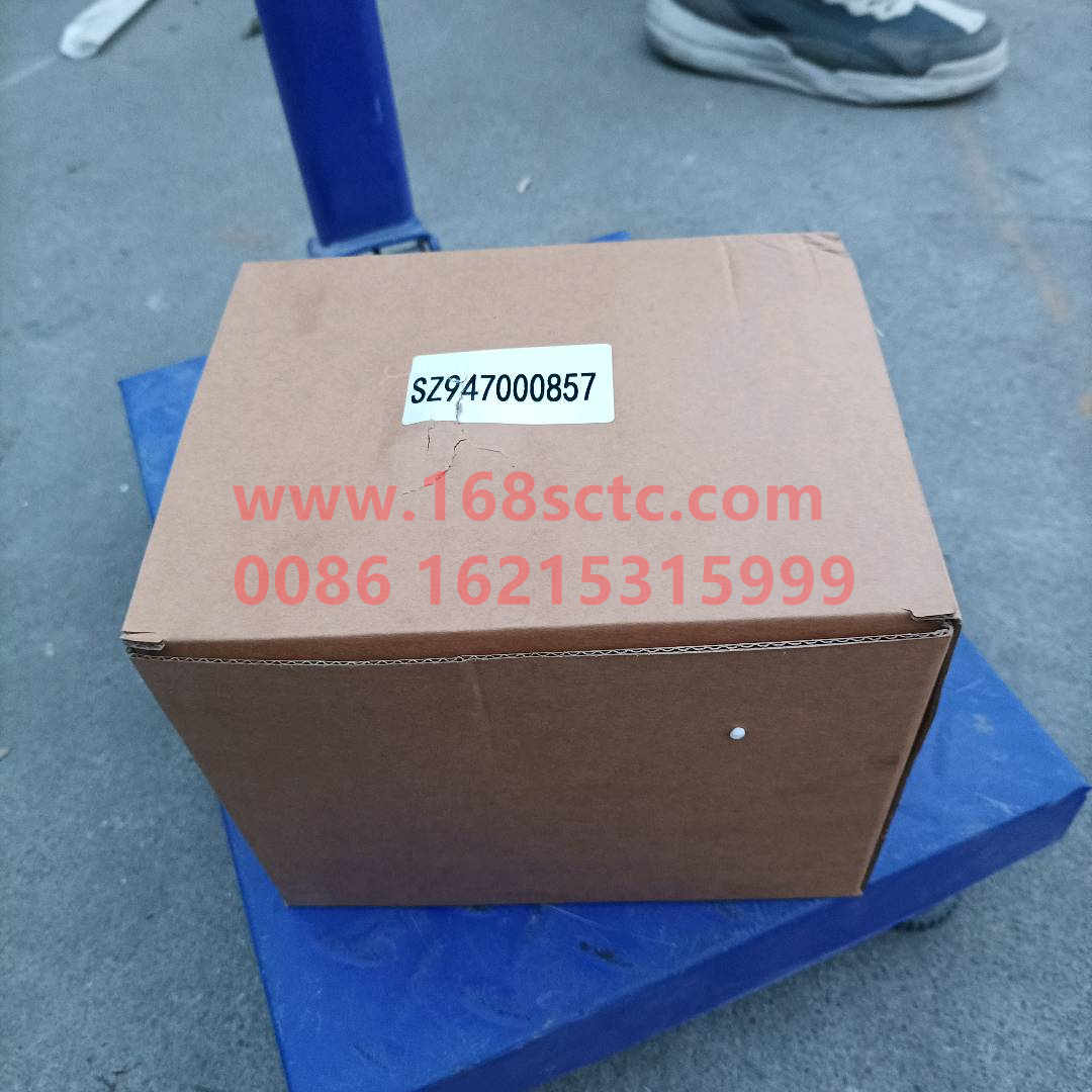 SZ947000857-SHACMAN-Steering Pump-DeLongF2000 2007Kuan