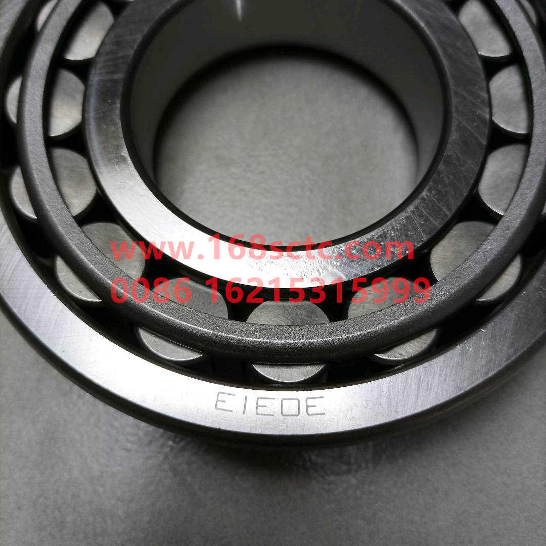 0064005005511+045(30313