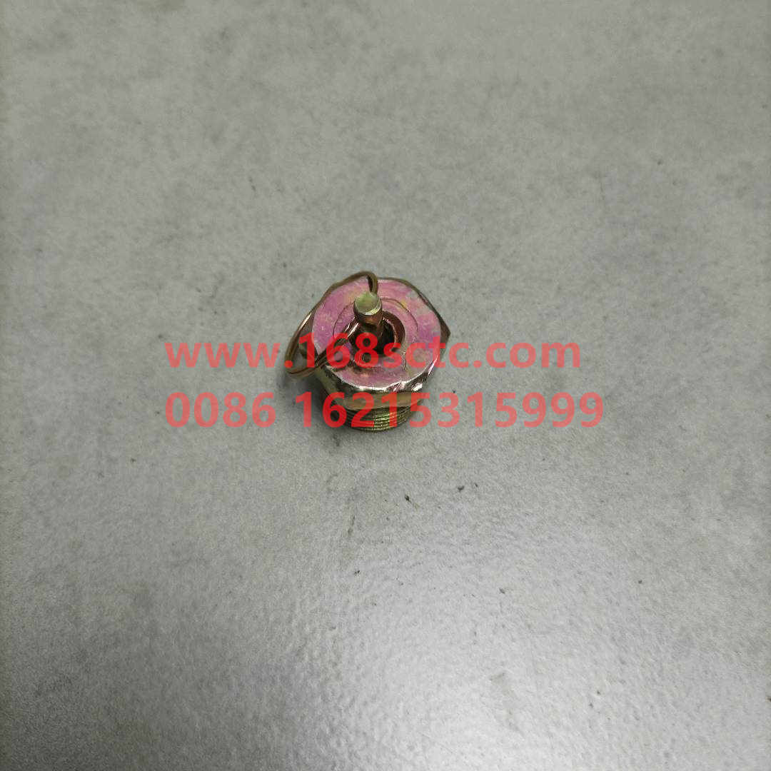 WG9000361402-SINOTRUK HOWO-drain valvecopper-HaoWo2013Kuan