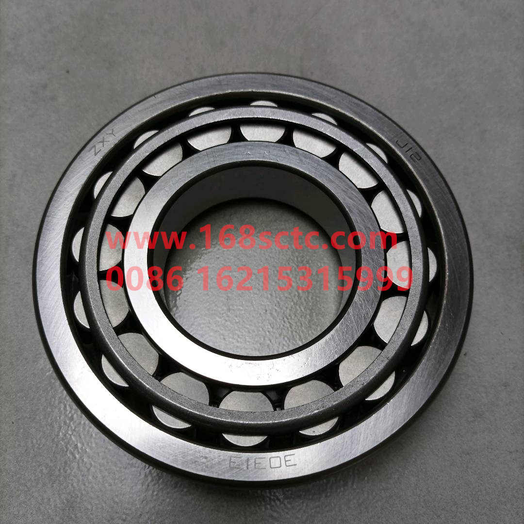 0064005005511+045(30313