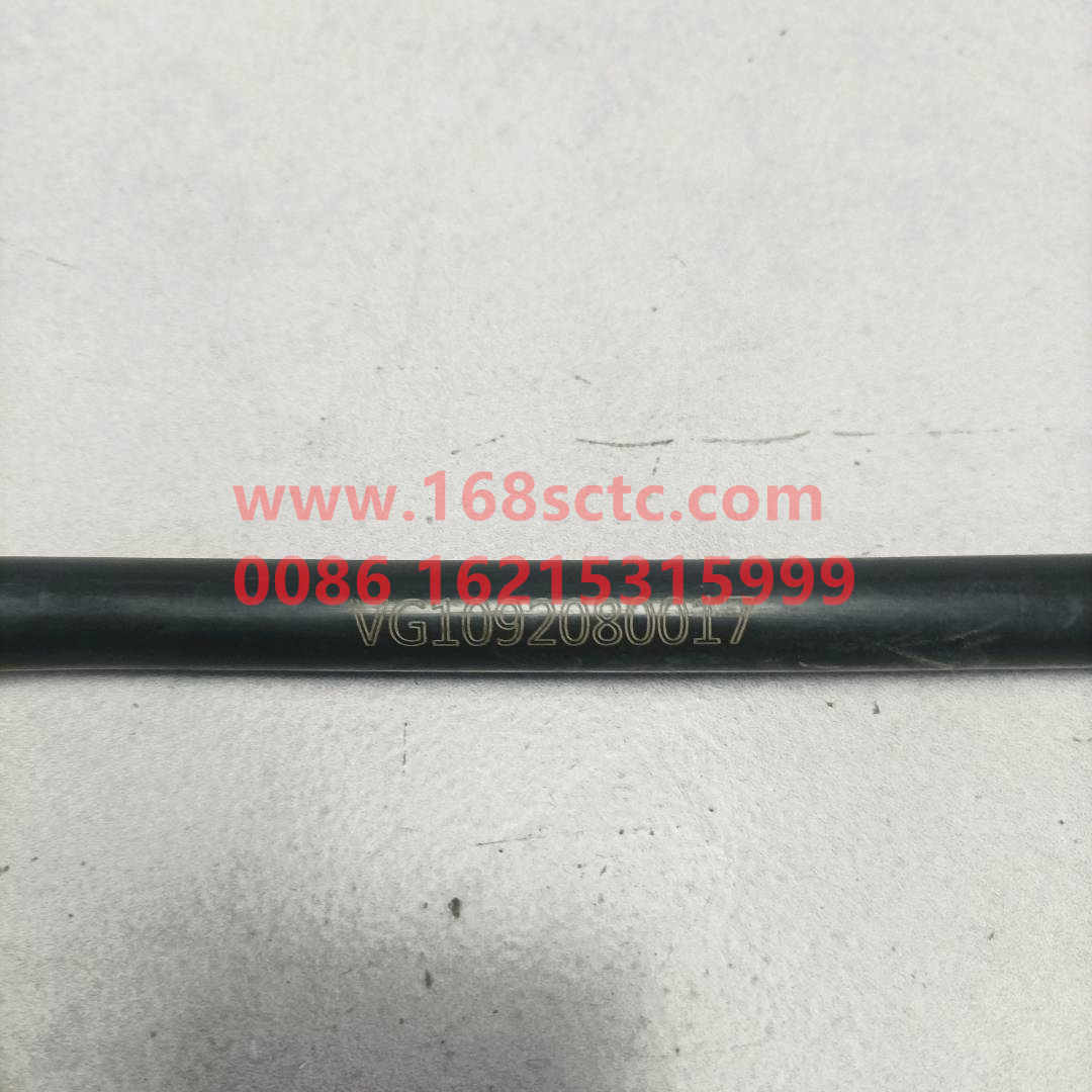VG1092080017A-SINOTRUK HOWO-fuel pipe assembly-ZhongQiFaDongJiWD615.95E