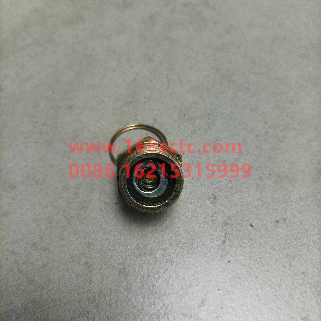 WG9000361402-SINOTRUK HOWO-drain valvecopper-HaoWo2013Kuan